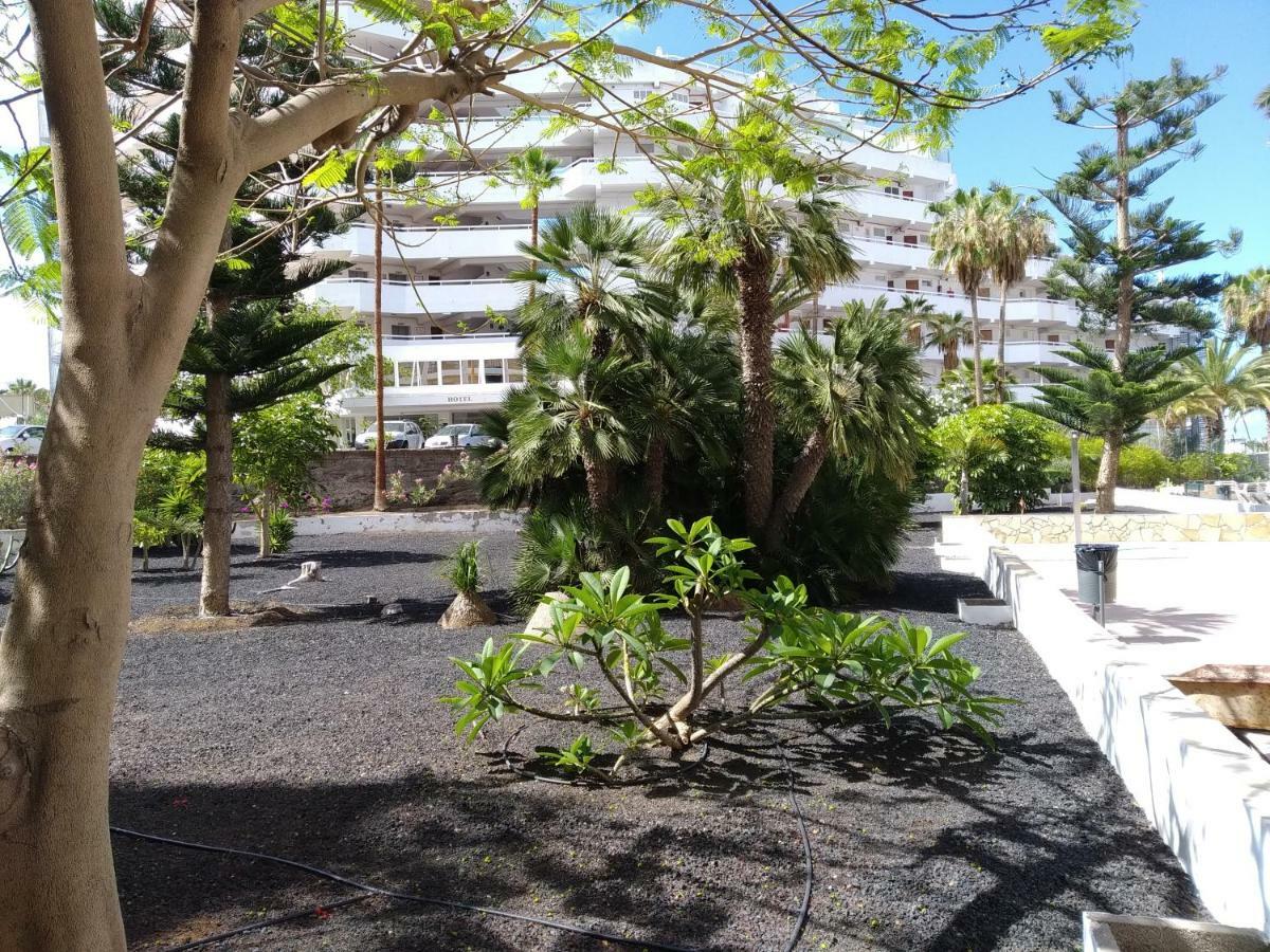 Ferienwohnung Vina Del Mar Playa de las Américas Exterior foto
